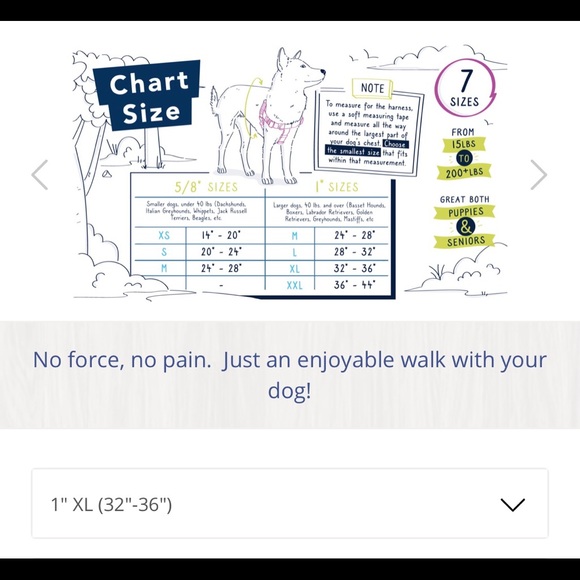 Turquoise No Pull Harness - Picture 6 of 7